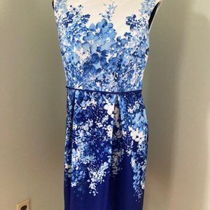 Women's Blue and White Floral Dress, Size 8P